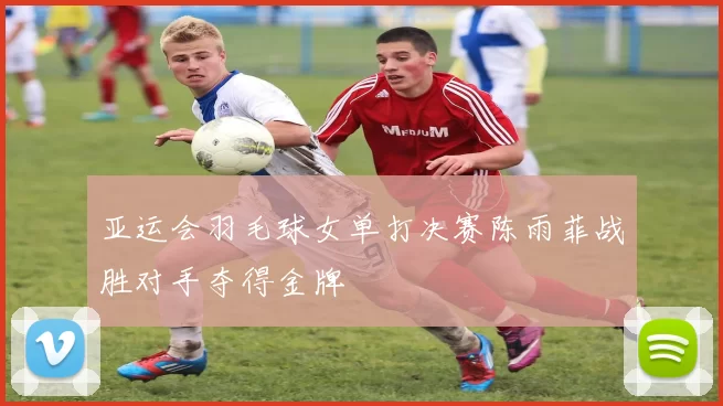 亚运会羽毛球女单打决赛陈雨菲战胜对手夺得金牌