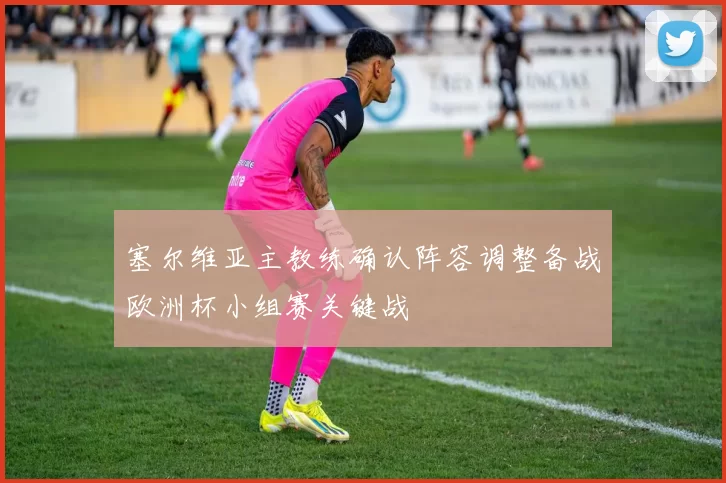 塞尔维亚主教练确认阵容调整备战欧洲杯小组赛关键战