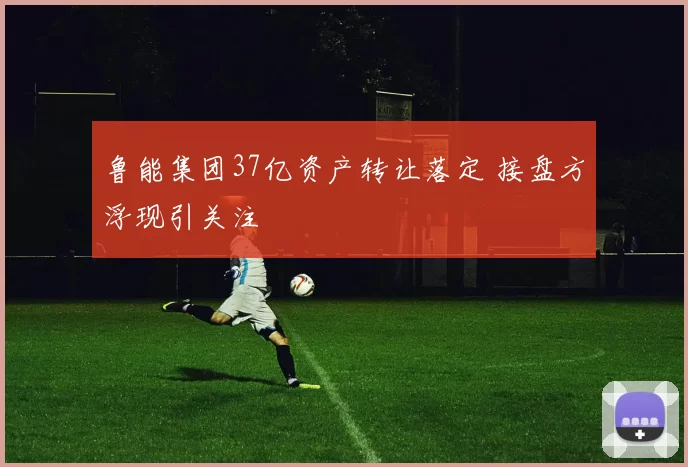 鲁能集团37亿资产转让落定 接盘方浮现引关注