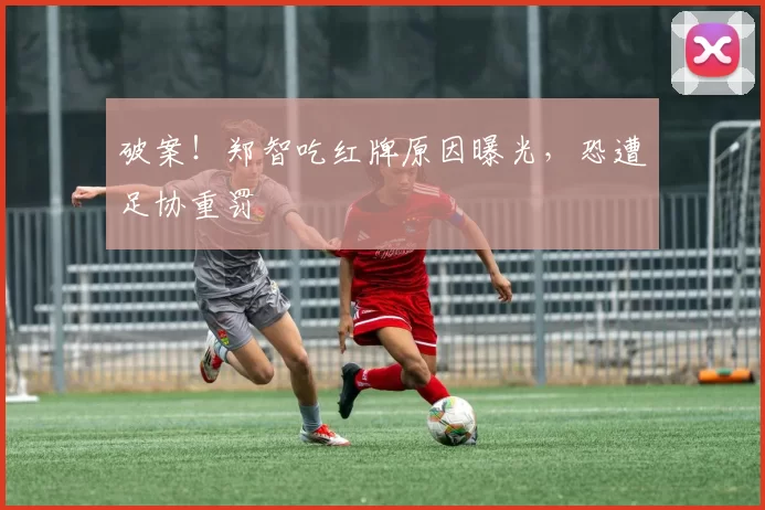 破案！郑智吃红牌原因曝光，恐遭足协重罚