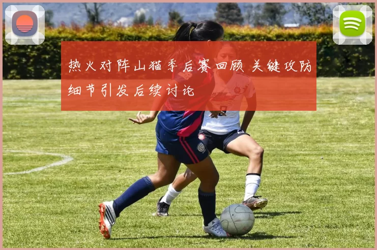 热火对阵山猫季后赛回顾 关键攻防细节引发后续讨论