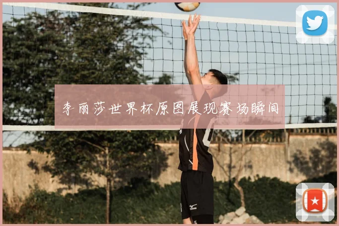李丽莎世界杯原图展现赛场瞬间