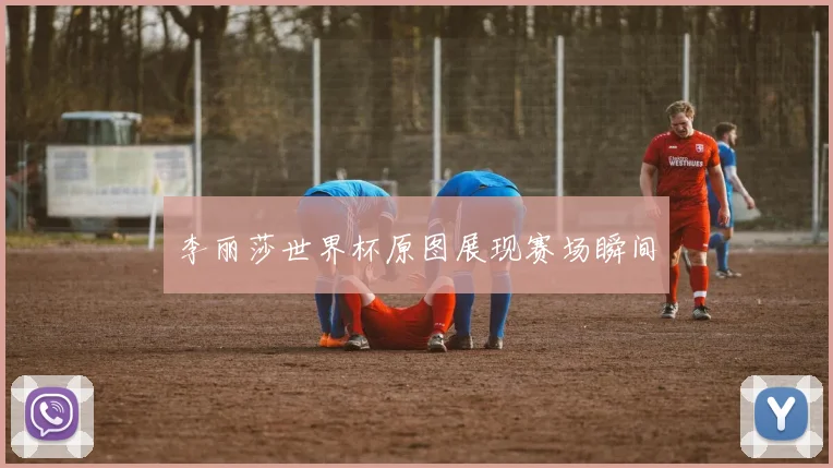 李丽莎世界杯原图展现赛场瞬间