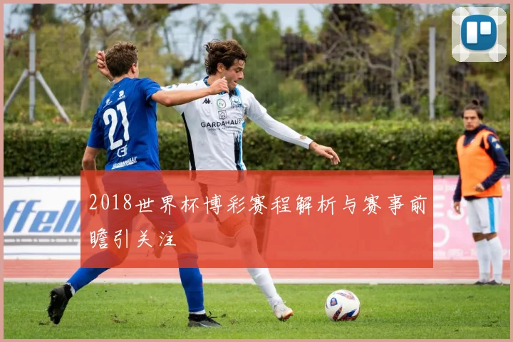 2018世界杯博彩赛程解析与赛事前瞻引关注