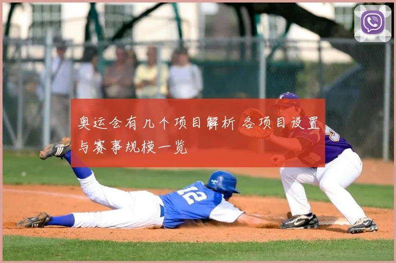 奥运会有几个项目解析 各项目设置与赛事规模一览
