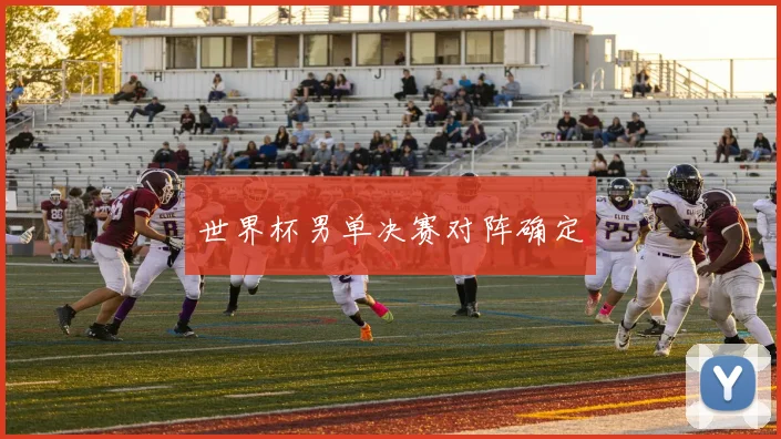 世界杯男单决赛对阵确定