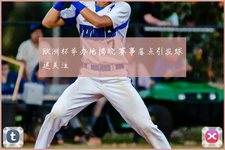 欧洲杯举办地揭晓 赛事落点引发球迷关注