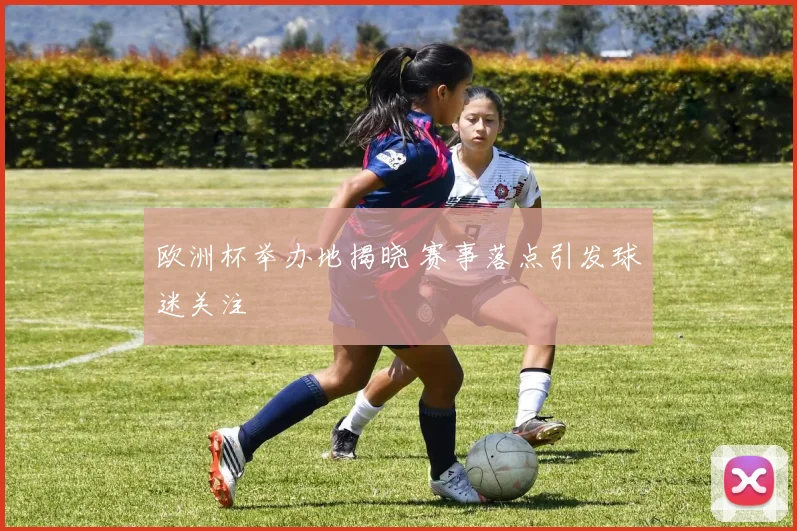 欧洲杯举办地揭晓 赛事落点引发球迷关注
